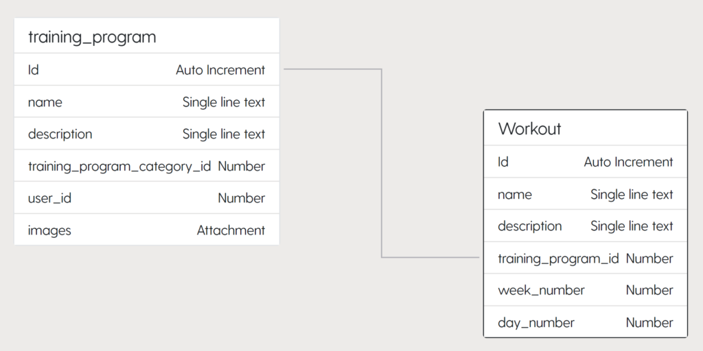 Example of the Training Program entity and the Workout entity displayed in an ER Diagram.