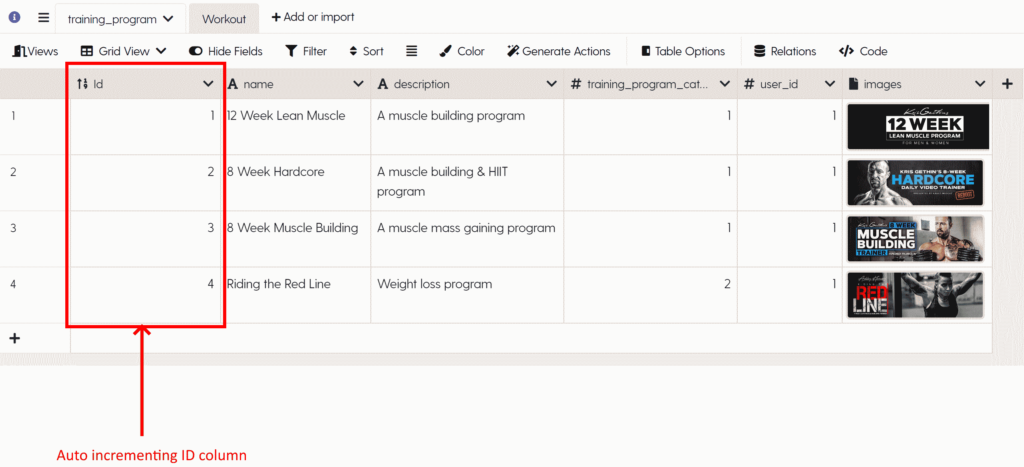 Example of the Training Program entity, highlighting the auto incrementing ID column.