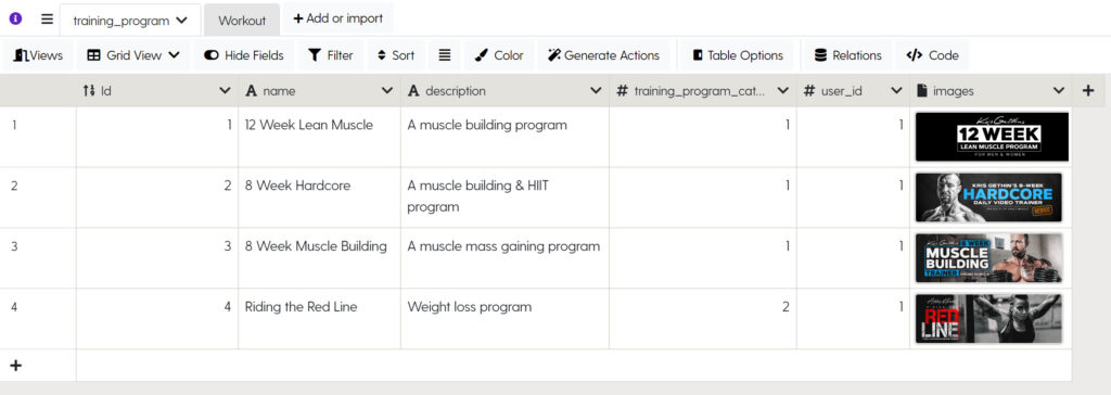 Example of the Training Program entity & its properties displayed in a table format.